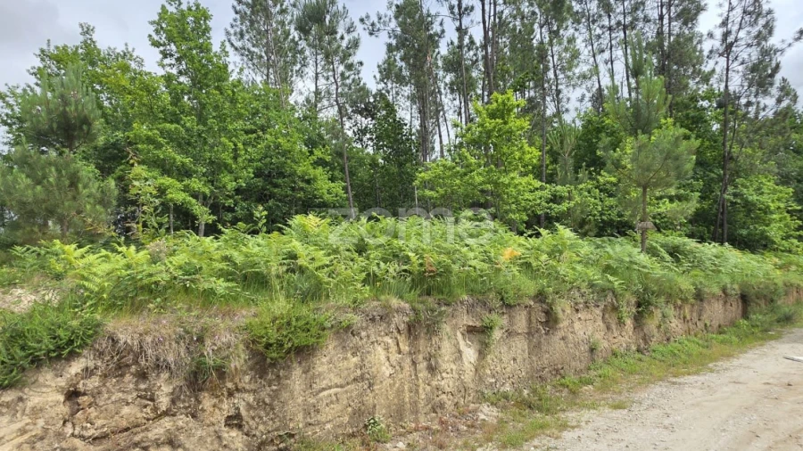 Terreno para Venda em Fiscal