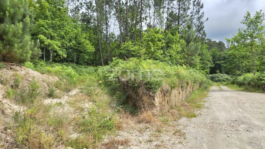 Terreno para Venda em Fiscal
