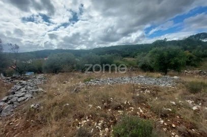 Terreno para Venda em São Mamede