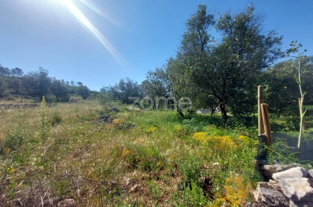 Terreno para Venda em São Mamede Foto 2