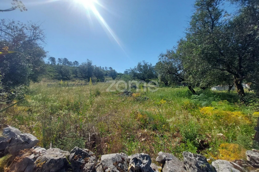 Terreno para Venda em São Mamede Foto 3