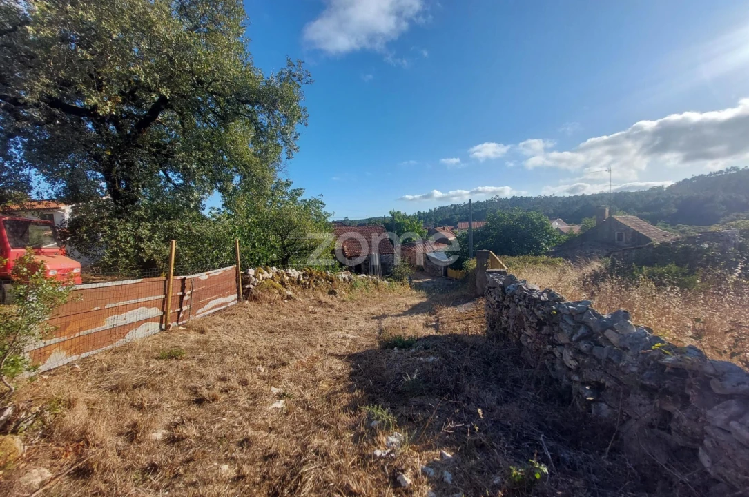 Terreno para Venda em São Mamede Foto 2