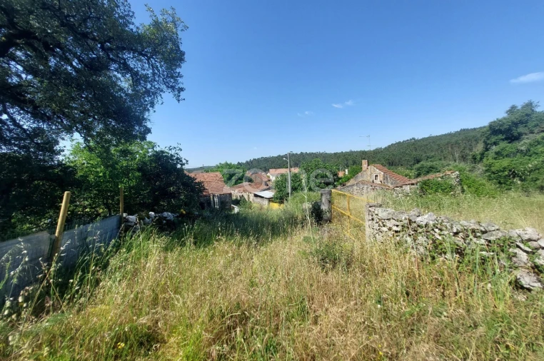 Terreno para Venda em São Mamede Foto 9