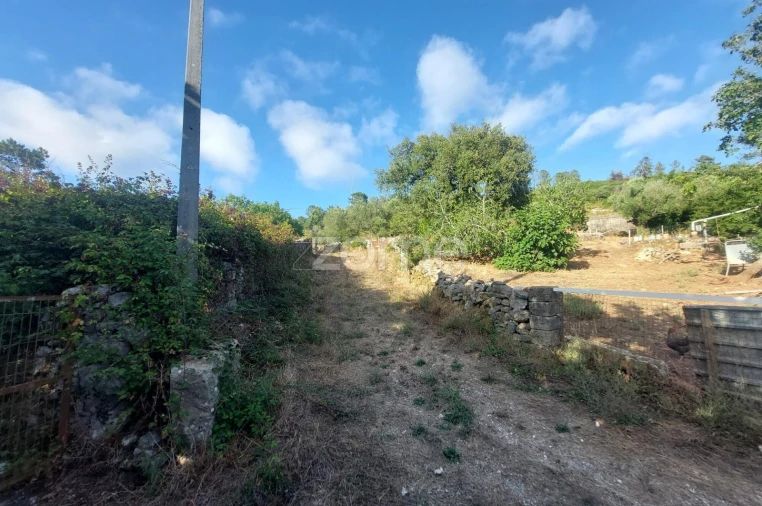 Terreno para Venda em São Mamede Foto 23