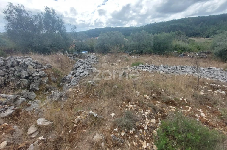 Terreno para Venda em São Mamede Foto 4