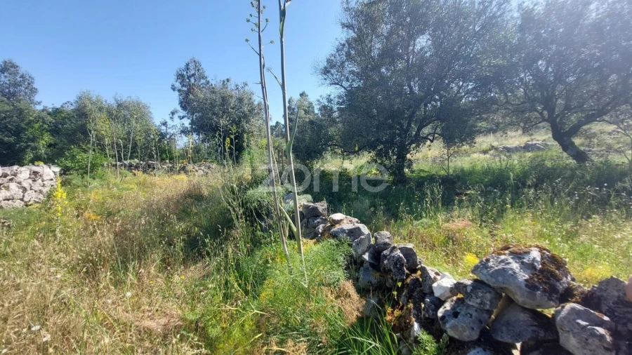 Terreno para Venda em São Mamede