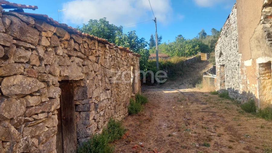 Terreno para Venda em São Mamede