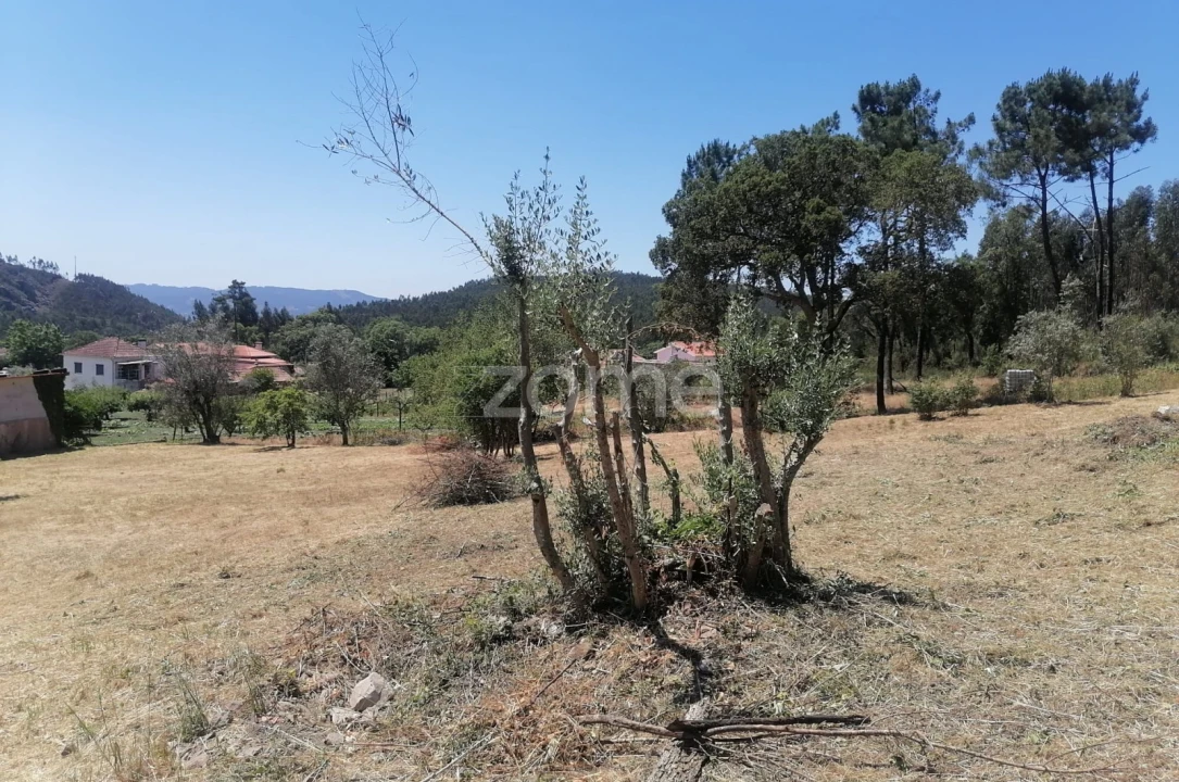 Moradia T3 para Venda em São Miguel de Poiares Foto 4