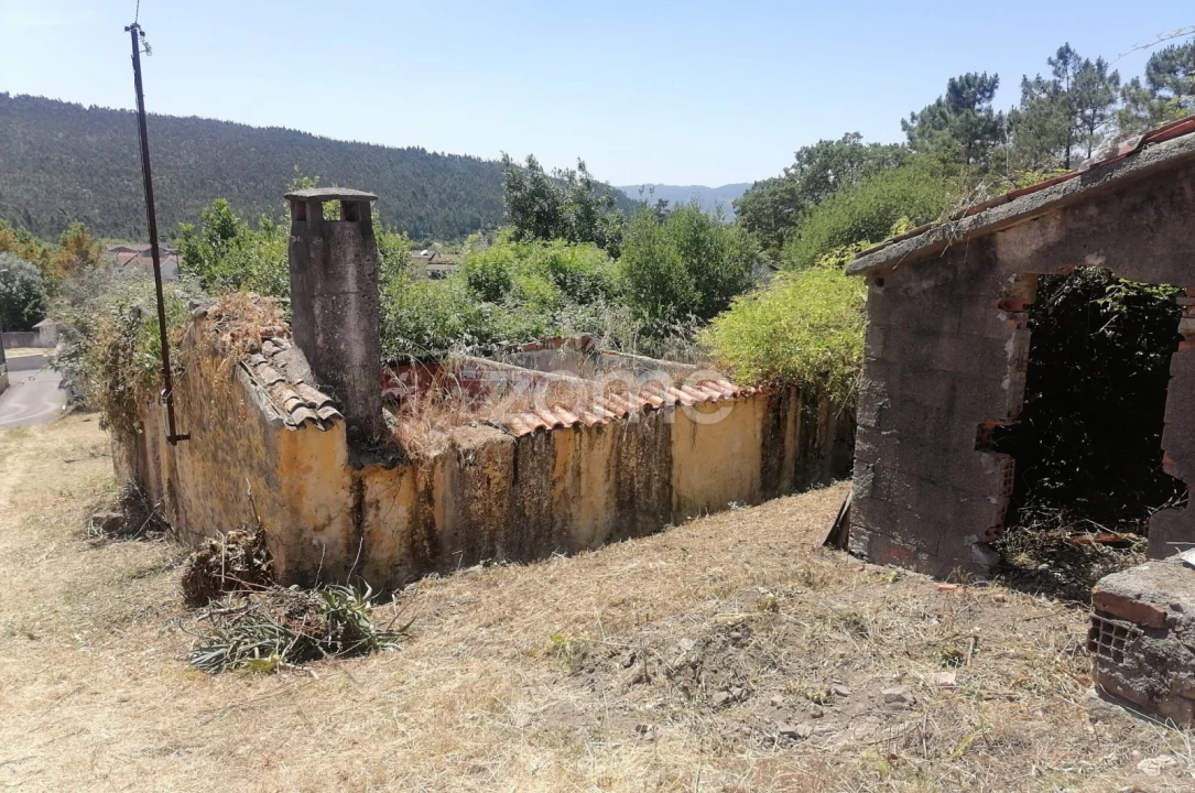 Moradia T3 para Venda em São Miguel de Poiares Foto 8