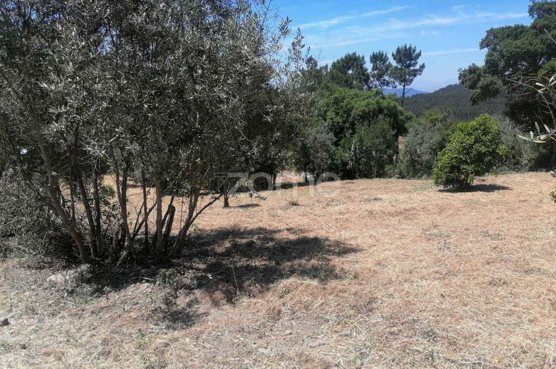 Moradia T3 para Venda em São Miguel de Poiares Foto 13