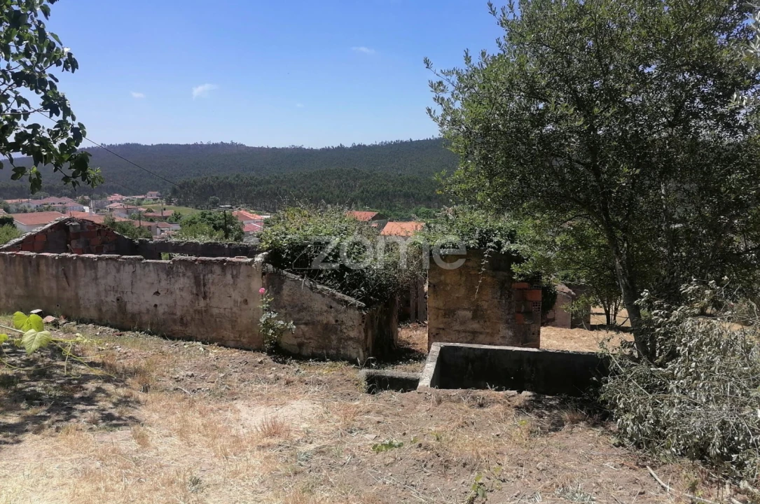 Moradia T3 para Venda em São Miguel de Poiares Foto 11