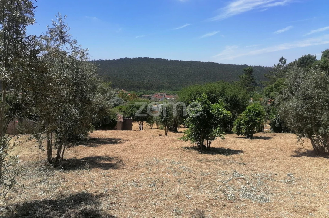 Moradia T3 para Venda em São Miguel de Poiares Foto 14