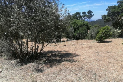 Moradia T3 para Venda em São Miguel de Poiares