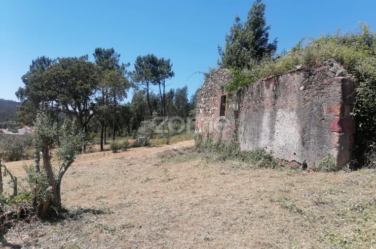 Moradia T3 para Venda em São Miguel de Poiares Foto 5