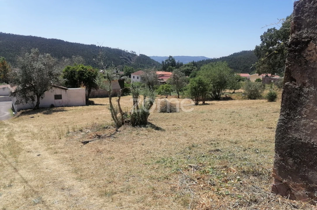 Moradia T3 para Venda em São Miguel de Poiares Foto 6