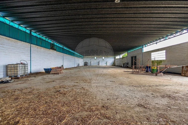 Quinta T6 para Venda em Pontevel Foto 18