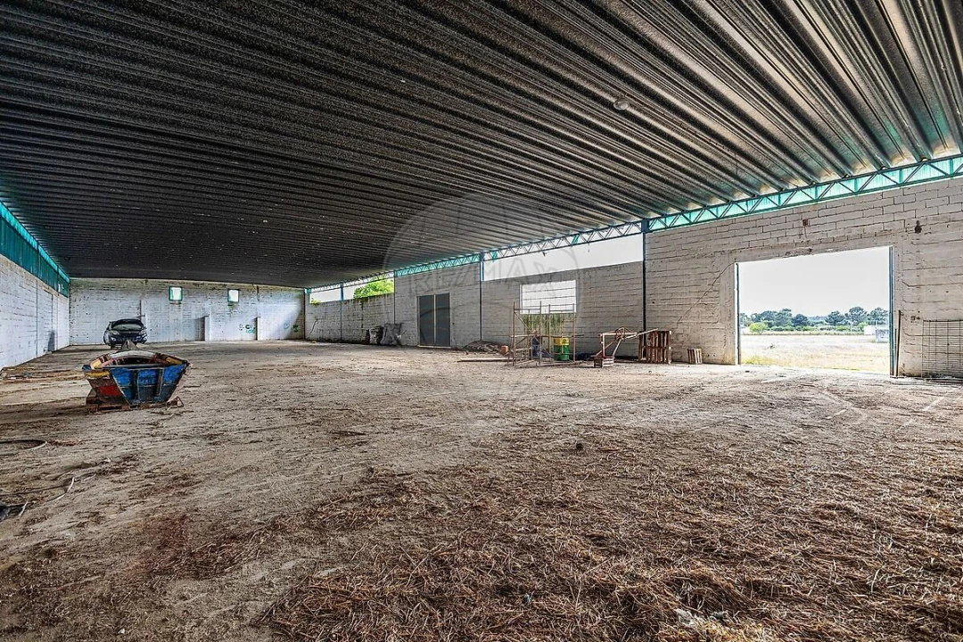 Quinta T6 para Venda em Pontevel Foto 17