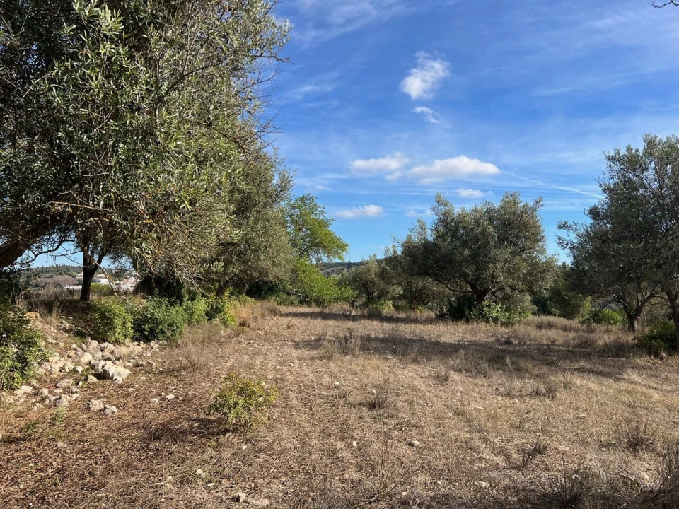 Terreno para Venda em Paderne Foto 1