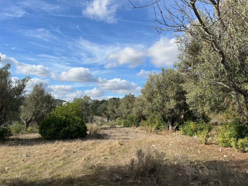 Terreno para Venda em Paderne Foto 4
