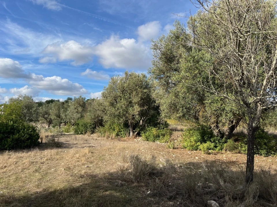 Terreno para Venda em Paderne Foto 5