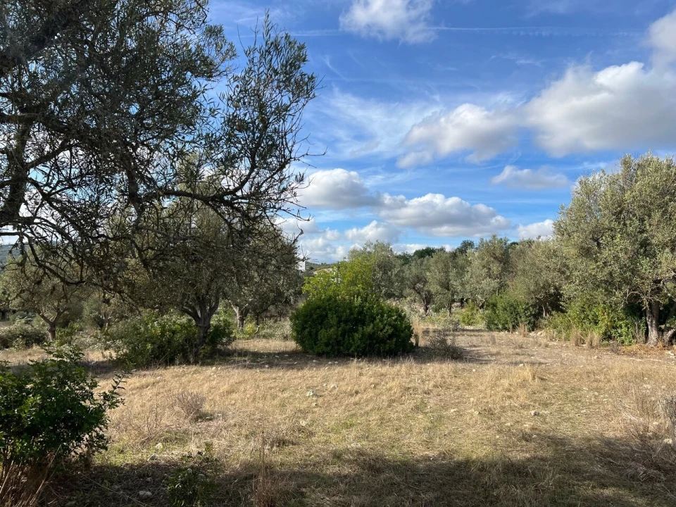 Terreno para Venda em Paderne Foto 6