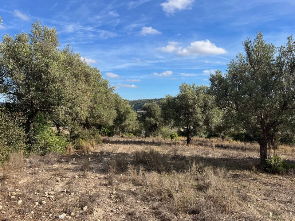 Terreno para Venda em Paderne Foto 8