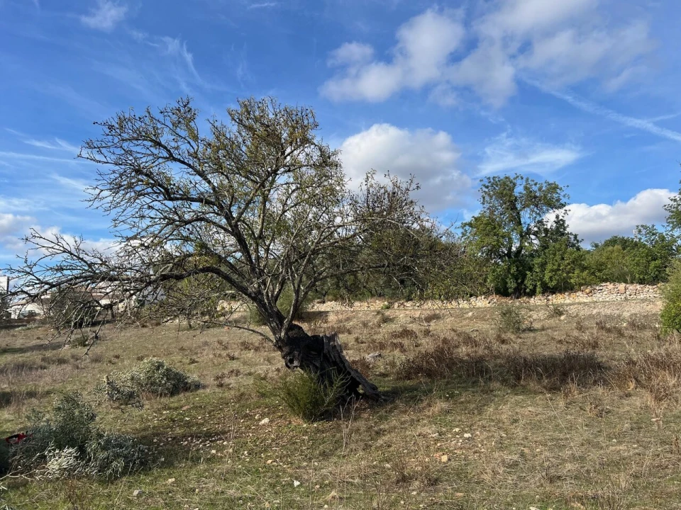 Terreno para Venda em Paderne Foto 22