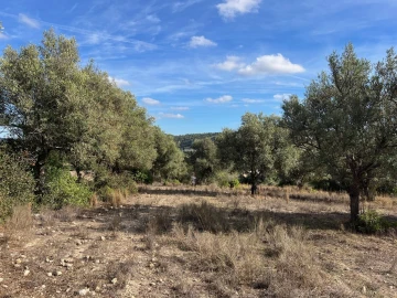 Terreno para Venda em Paderne