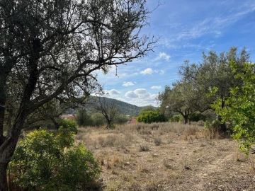 Terreno para Venda em Paderne