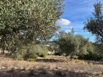 Terreno para Venda em Paderne