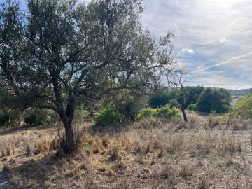 Terreno para Venda em Paderne