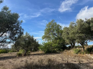 Terreno para Venda em Paderne