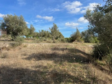 Terreno para Venda em Paderne