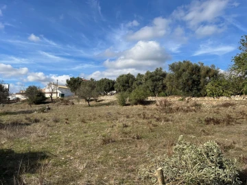 Terreno para Venda em Paderne