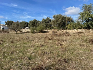 Terreno para Venda em Paderne
