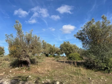 Terreno para Venda em Paderne