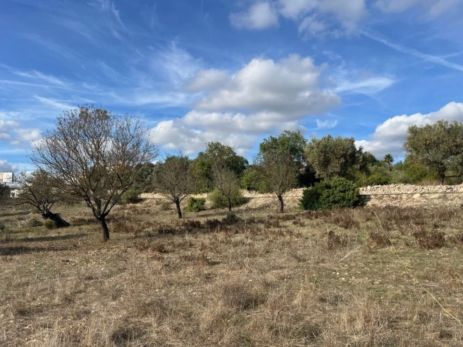 Terreno para Venda em Paderne Foto 20