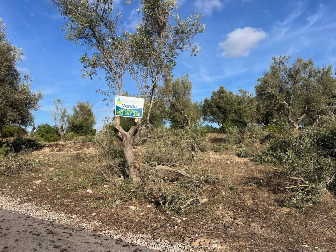 Terreno para Venda em Paderne Foto 27