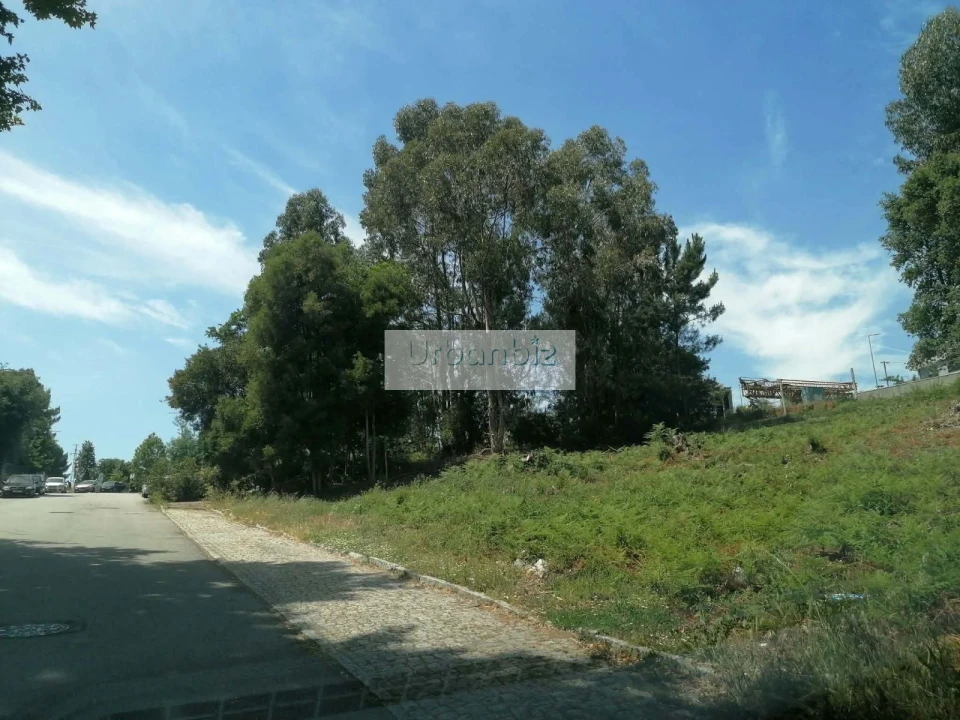 Terreno para Venda em Oliveira do Douro Foto 4