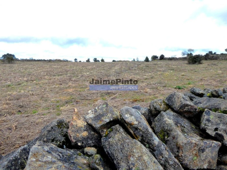 Terreno Agricola ou Rústico para Venda em Algodres, Vale de Afonsinho e Vilar de Amargo Foto 4