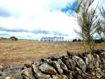 Terreno Agricola ou Rústico para Venda em Algodres, Vale de Afonsinho e Vilar de Amargo