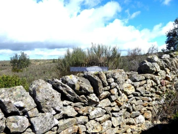 Terreno Agricola ou Rústico para Venda em Algodres, Vale de Afonsinho e Vilar de Amargo