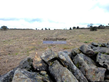 Terreno Agricola ou Rústico para Venda em Algodres, Vale de Afonsinho e Vilar de Amargo