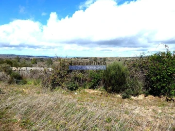 Terreno Agricola ou Rústico para Venda em Algodres, Vale de Afonsinho e Vilar de Amargo