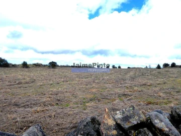 Terreno Agricola ou Rústico para Venda em Algodres, Vale de Afonsinho e Vilar de Amargo