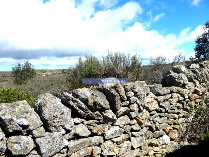 Terreno Agricola ou Rústico para Venda em Algodres, Vale de Afonsinho e Vilar de Amargo Foto 2