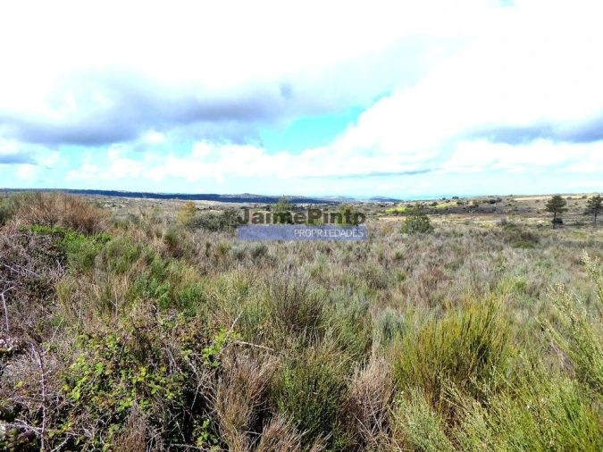 Terreno Agricola ou Rústico para Venda em Algodres, Vale de Afonsinho e Vilar de Amargo Foto 3