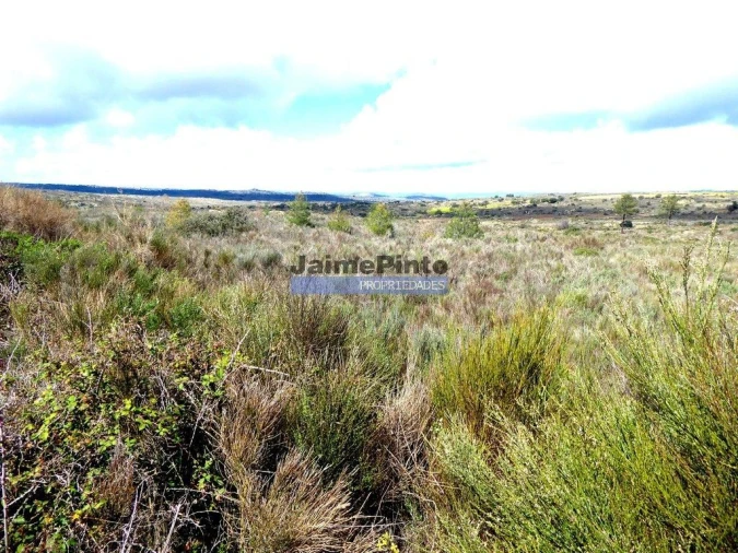 Terreno Agricola ou Rústico para Venda em Algodres, Vale de Afonsinho e Vilar de Amargo Foto 5