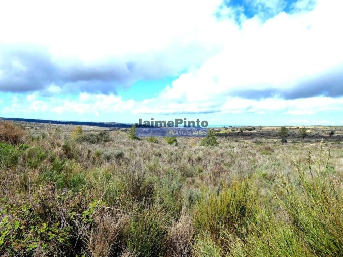 Terreno Agricola ou Rústico para Venda em Algodres, Vale de Afonsinho e Vilar de Amargo Foto 9