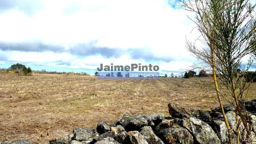Terreno Agricola ou Rústico para Venda em Algodres, Vale de Afonsinho e Vilar de Amargo